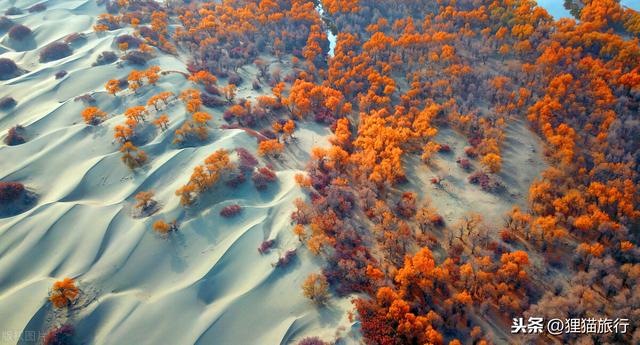 4年2022，1974年在2022年属什么生肖"