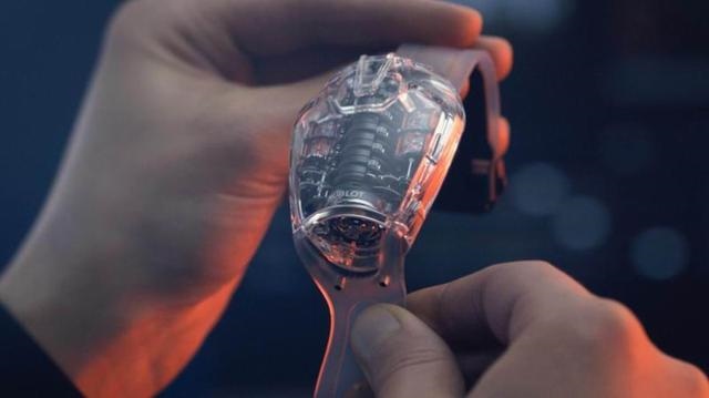 022年新生肖码表图，2022