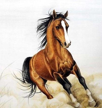 属马的今年运势和财运怎么样,属马的今年财运如何