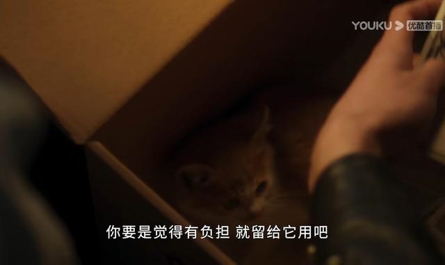 8年虎男和88年龙女相配吗，98年属虎男一生的命运"