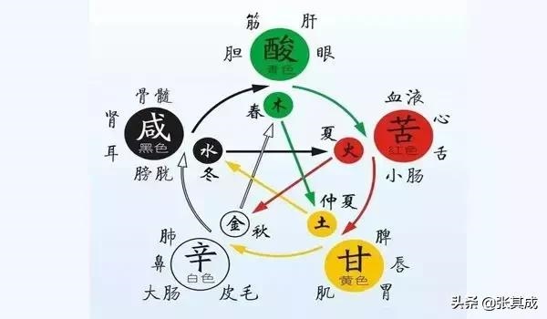 五行与生肖对照表，十二生肖五行对照表图