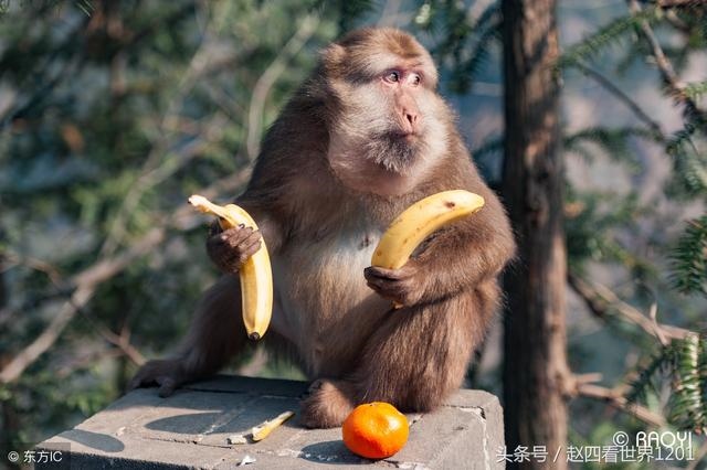 土龙和土蛇婚姻怎么样，婚姻到什么程度该离婚