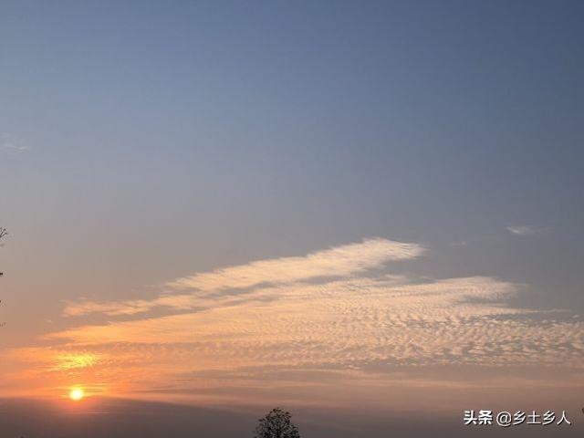 龙的生日是哪天，生日相差不到100天