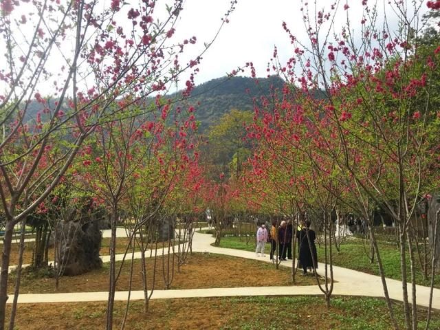 牛宝宝午时出生好吗，女命属牛午时出生好吗