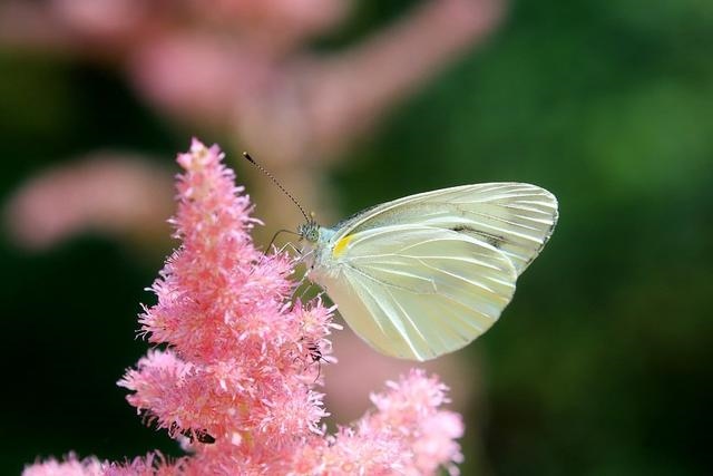 022年整体运势处女座，2022