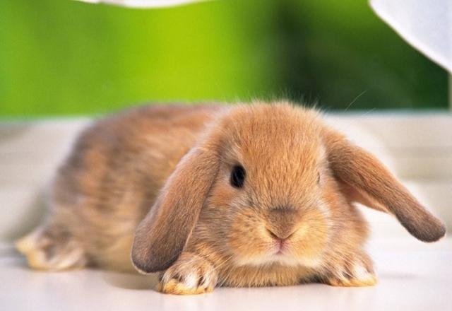 022年好运爆棚的生肖女，2022年有喜事生肖"