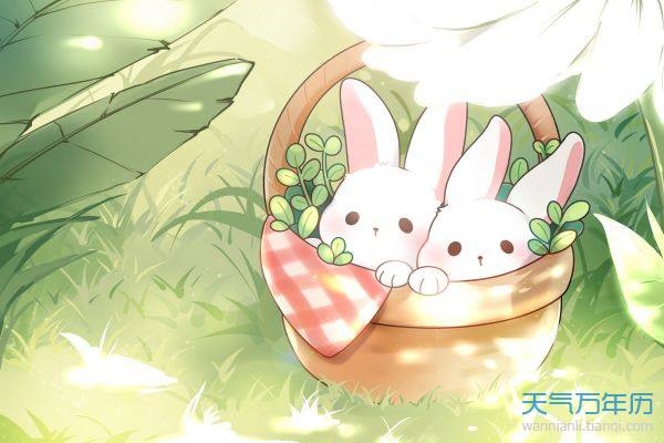 属兔男人会娶什么老婆，属兔男人对于得不到女人