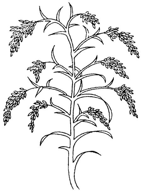 十二生肖图片表数字，十二生肖分别是哪年