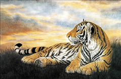 022年86年属虎男运势,属虎2022年运势及运程男性"