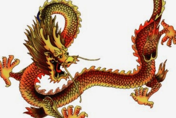 8年的龙属于什么命,1988年大林木命缺什么"