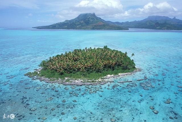 龙年十一月运势，属龙的2022年每月运势