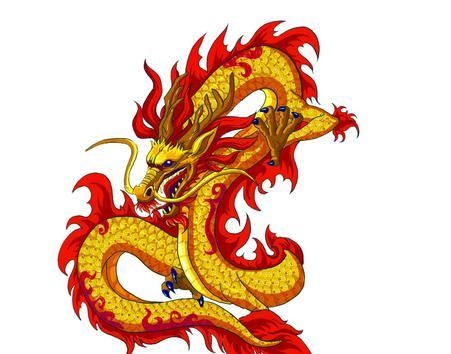 属龙的女人命好不好vj7，属龙的女人命好不好1329