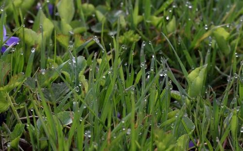 属猪的今年感情婚姻，2022 年属猪男婚姻感情运势