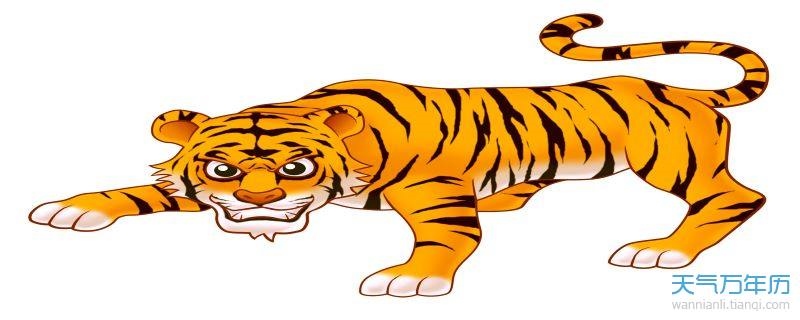 属虎的出生时辰什么时候更好，哪个时辰出生的人更好命最富贵