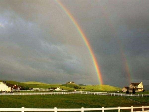 属蛇未来三十年大运，生肖蛇的十年大运