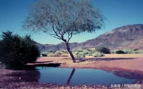 哪个时辰的女人能做生意，特别有钱的时辰女