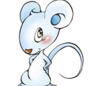 老鼠跟什么属相旺财,老鼠跟什么属相冲