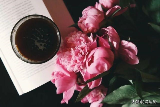 八字测试2022年运势，2022年运势12生肖运势