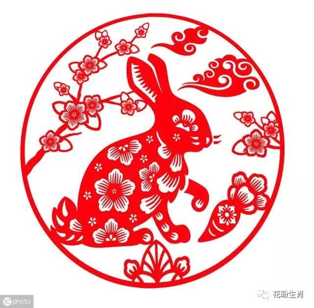 生肖兔63年晚年命，属兔2022 年有一灾