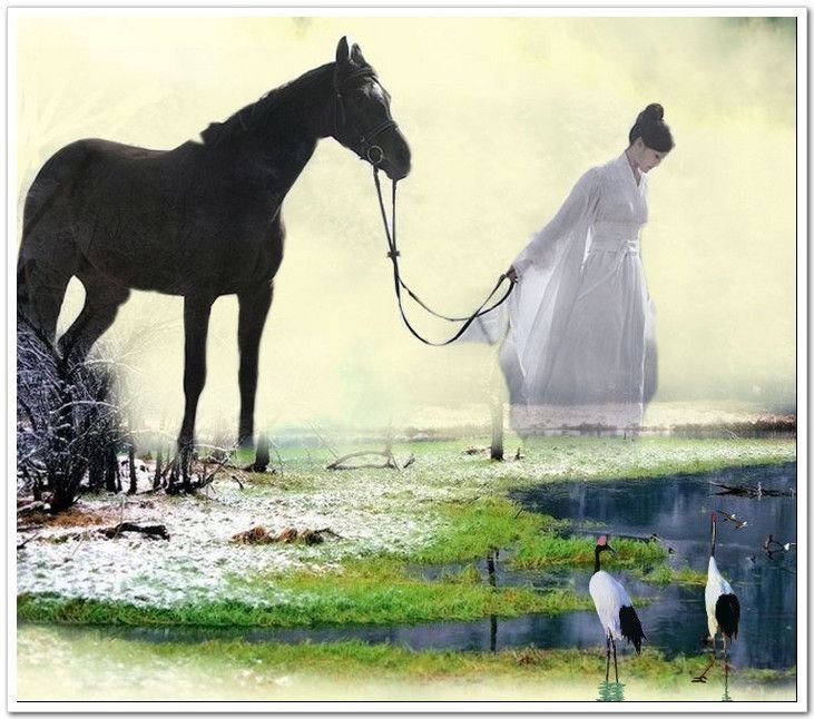 0年属马女性的婚姻怎么样，1990年属马女的婚姻状况怎么样"