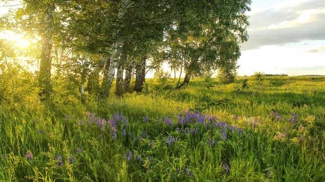 几点出生的就是什么命，一等命格时辰