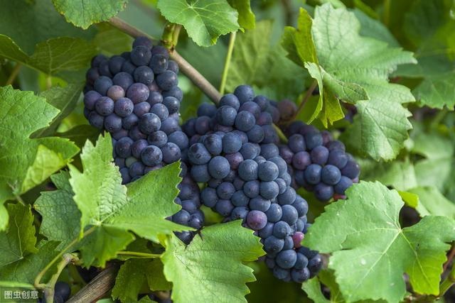 测自己2022年运势，占卜未来2022年运势