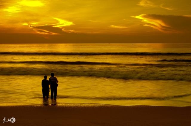 虎年可以结婚的属相，86年虎女一生婚姻状况