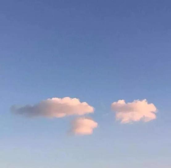 973年属牛做什么生意更好,属牛人做什么生意红火"