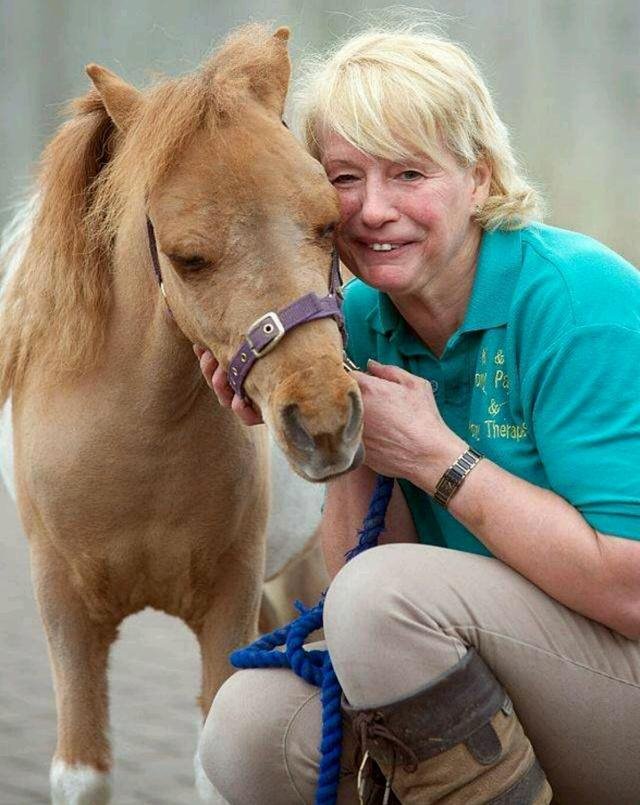 如何与动物友好相处，人类怎样与动物友好相处