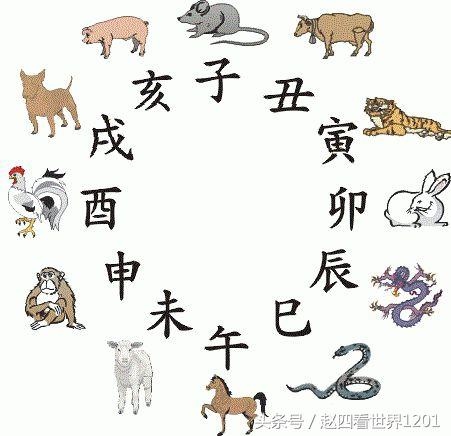 土龙和土蛇婚姻怎么样，婚姻到什么程度该离婚