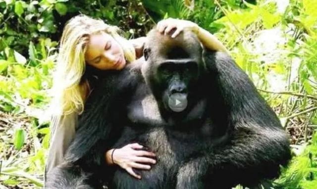 马和马怎么配对多长时间，马跟马的婚姻能长久吗