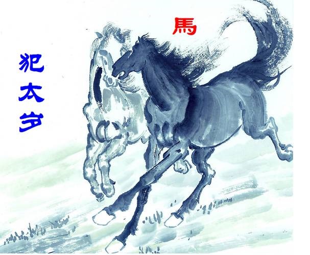 022年属马的是什么命，2022年属马的适合住几楼"