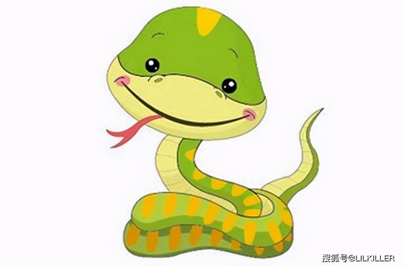 羊蛇可不可以配夫妻,91年属羊女的和属蛇男