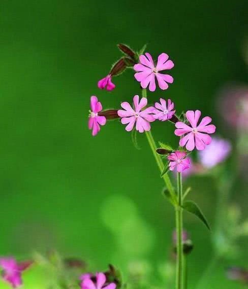 免费算财运和事业，生辰八字查询免费