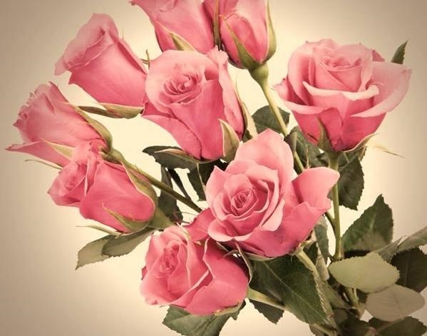 属龙男属猴的女在一起好不好，属龙男和属猴女到底好不好