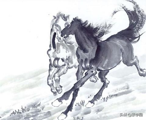 买十二生肖买马的官 ，十二生肖买马图表