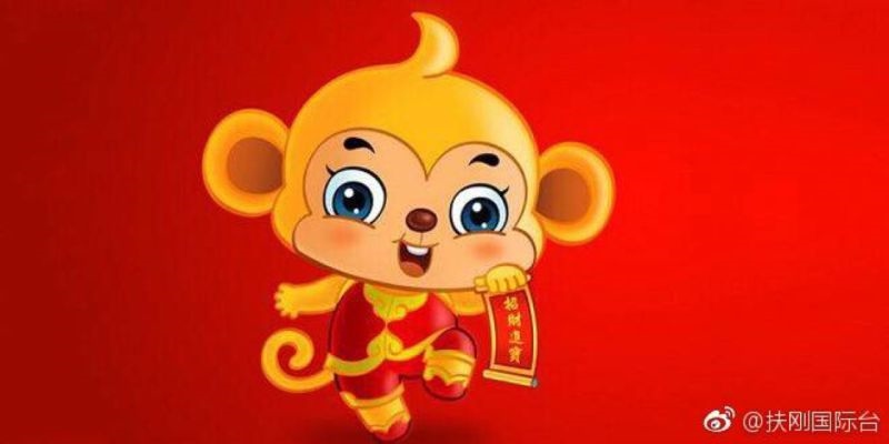 004属猴一生命运,2004属猴今年怎么样"