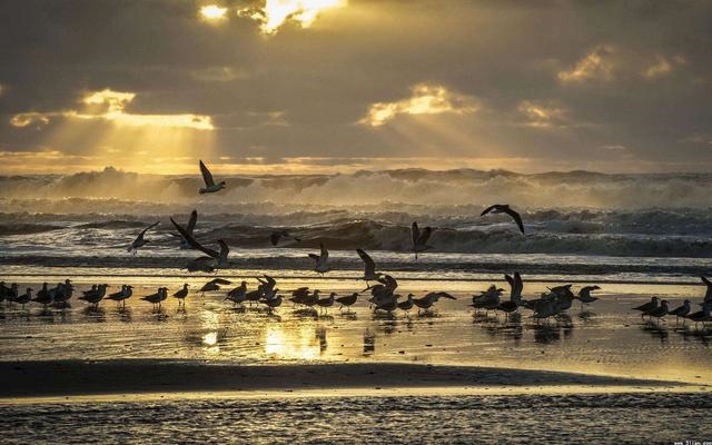 将来必大富大贵的人，女孩出生的四个更佳时辰