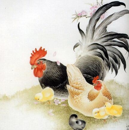 000年龙女一生运势如何,2000属龙女更佳婚配"