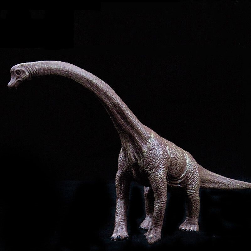 023年是什么龙,鼠和什么生肖相冲"