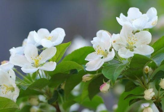 测试婚姻匹配度，姓名配对缘分测试98%