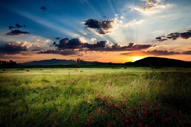 994年属狗二婚会幸福吗，1994年属狗女犯几月"