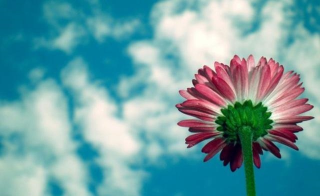 2年的猴30以后开始顺风顺水，92年属猴2022年感情"