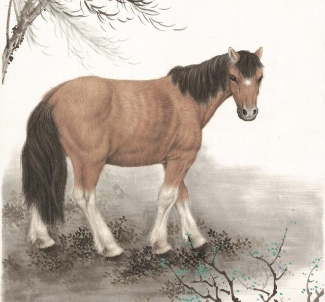 022年霉运缠身的生肖，2022年各生肖运程"