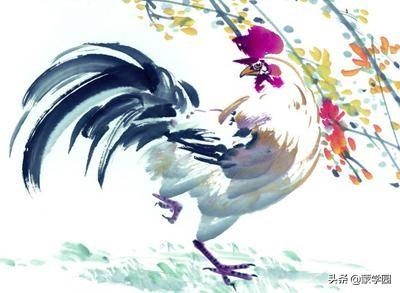 买十二生肖买马的官 ，十二生肖买马图表