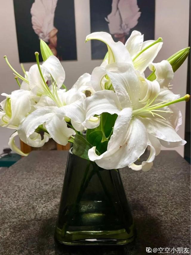 998属虎最忌几月出生，属虎出生更好六个吉日"