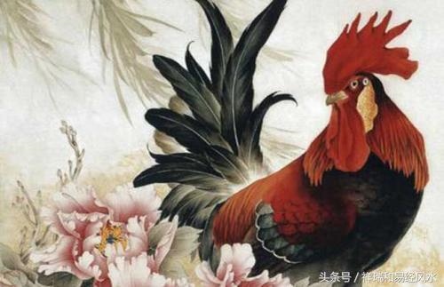 005年属鸡婚姻如何，2005年属鸡更佳婚配"