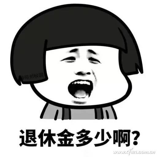 鼠的寿命有几年，马的寿命有几年