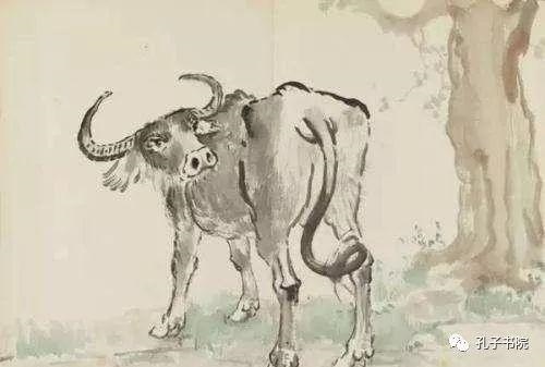 出生时辰龙出雾，辰时出生的女孩命运