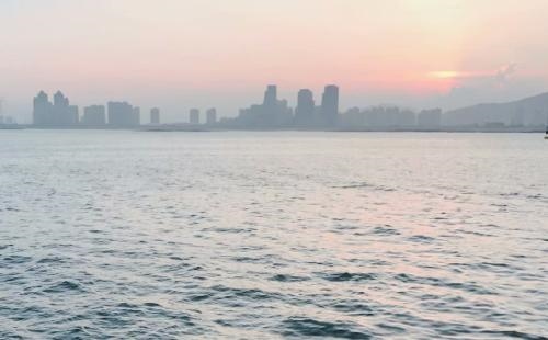 995年五月属猪男的命运，71年女人属猪2022